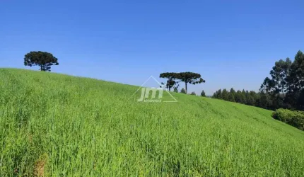 Terreno à venda na Estrada do Mato Chiqueiro – em Balsa Nova/PR