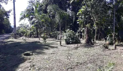Terreno a venda em Morretes/PR - Bairro Ponte Alta