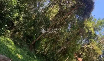 Terreno à venda na Estrdada Geral do Ouvidor, 234, Campo Duna, Garopaba, 500 m2 por R$ 695.000