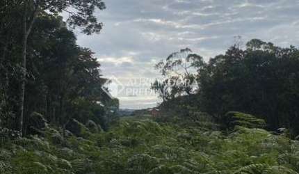 Terreno à venda na Pedro Manoel De Lima, 444, Macacu, Garopaba, 20000 m2 por R$ 1.200.000
