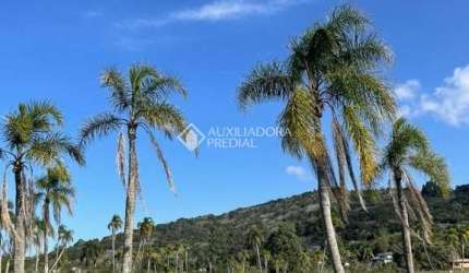Terreno à venda na Bernardino Manoel Bernardo, 96, Encantada, Garopaba, 1500 m2 por R$ 250.000