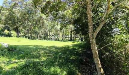 Terreno comercial à venda na Leonildo Peirão, 3, Grama, Garopaba, 2239 m2 por R$ 1.650.000