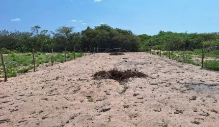 Terreno, 500 m², Jijoca de Jericoacoara/CE
