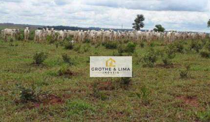 Fazenda com  3.625 hectares para pecúaria à venda na região do município de Nova Andriana-MS.