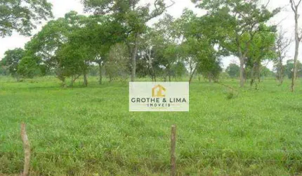 Excelente fazenda de cria no Pantanal à venda em Corumba-MS.