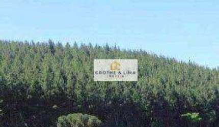 Área à venda, 950 alqueires por R$ 50.000.000 - Chapada - Ponta Grossa/PR