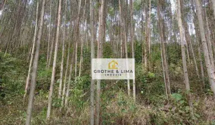 Área à venda, 108900 m² por R$ 440.000 - Cedro - Paraibuna/SP