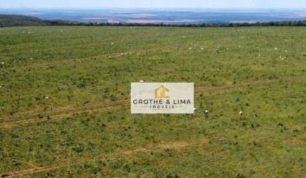 Vendo fazenda no município de Paraná/TO.