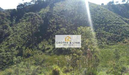 Terreno à venda, 20000 m² por R$ 440.000,00 - Zona Rural - Santo Antônio do Pinhal/SP