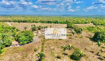 Vendo fazenda 530 alqueires 100% documentada dupla aptidão com excelente preço, grande potencial para lavoura e pecuária a 30 km de Araguaína Tocantin