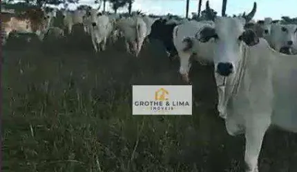 Fazenda à venda, 5130400 m² por R$ 10.600.000 - Dirceu Arcoverde - Parnaíba/PI