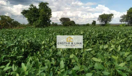 Fazenda à venda com dupla aptidão localizada Em Tocantins, a 149 Km De Palmas/TO