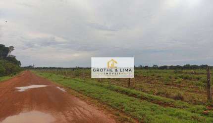 Vendo fazenda 288 alqueires na região Pium Vale do Araguaia/TO.