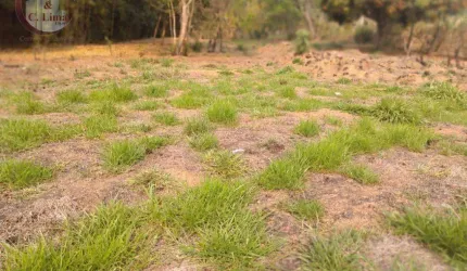 Terreno à venda, 2200 m² por R$ 251.500,00 - Espírito Santo - Paraibuna/SP