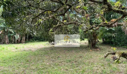 Sítio com 1 dormitório à venda, 363000 m² por R$ 5.500.000,00 - Maranduba - Ubatuba/SP