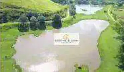 Oportunidade! Fazenda com 6 dormitórios à venda, 600 hectares por R$ 35.000.000  em Pindamonhangaba/SP