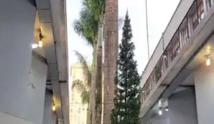 Loja CERQUEIRA CESAR SAO PAULO SP Brasil