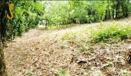 Terreno 1000m2 em Freguesia jpa