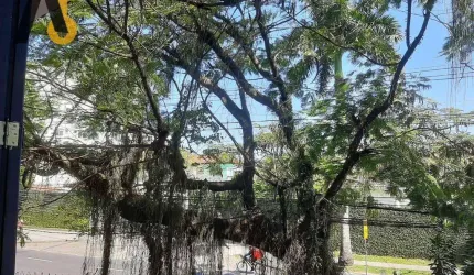 Excelente para fins comerciais