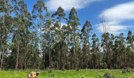 Terreno à venda em Campinas, Sousas, com 20000 m², Fazenda Iracema