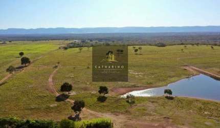 Fazenda em Jangada/MT