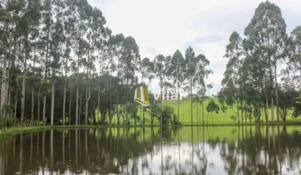 OPORTUNIDADE- Excelente área com 39.051 M2 na melhor localização de Piraquara, Por R$5.600.000.