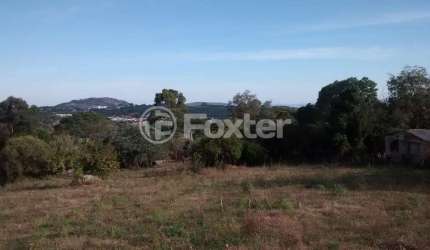 Terreno à venda na Estrada das Três Meninas, 1134, Vila Nova, Porto Alegre, 5000 m2 por R$ 1.800.000