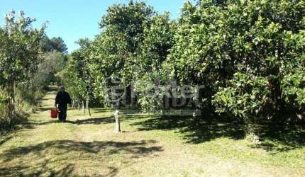 Terreno à venda na Estrada Afonso Lourenço Mariante, 2892, Belém Velho, Porto Alegre, 13935 m2 por R$ 448.200