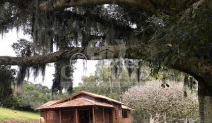 Fazenda com 1 sala à venda na Rodovia Frei Pacífico, S/N, Itapuã, Viamão, 45000 m2 por R$ 600.000