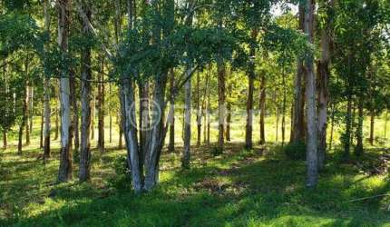 Fazenda à venda na Estrada Morrinhos, 1530, Centro, Butiá, 96000 m2 por R$ 449.900