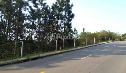 Terreno à venda na Estrada das Furnas, 788, Vila Nova, Porto Alegre, 31066 m2 por R$ 3.521.000