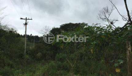 Terreno à venda na Estrada do Rincão, 2820, Belém Velho, Porto Alegre, 32500 m2 por R$ 617.500