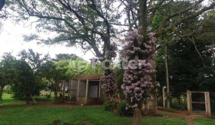 Fazenda com 5 salas à venda na Jardim Do Cedro, 195, Santa Tecla (Ipiranga), Gravataí, 93000 m2 por R$ 1.950.000