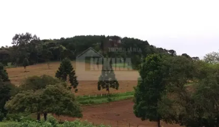 Chácara à venda, 193000.00 m2 por R$700000.00  - Socavao - Castro/PR
