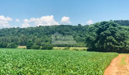 Chácara à venda, 112085.00 m2 por R$3500000.00  - Colonia Dona Luiza - Ponta Grossa/PR