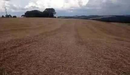 Fazenda à venda, 0.00 m2 por R$4800000.00  - Zona Rural - Tibagi/PR