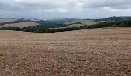 Fazenda à venda, 0.00 m2 por R$2800000.00  - Alto Do Amparo - Tibagi/PR