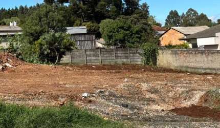 Terreno à venda, 450.00 m2 por R$170000.00  - Cara-Cara - Ponta Grossa/PR