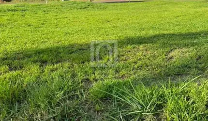 Terreno à venda no Condomínio Ninho Verde 2 Eco Residence