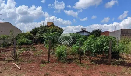Terreno Plano a Venda.