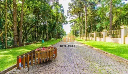 Terreno à venda, 3603 m² por R$ 1.100.000,00 - Jardim Esmeralda - Piraquara/PR