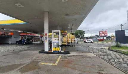 Loja para alugar, 211 m² - Jardim Botânico - Curitiba/PR