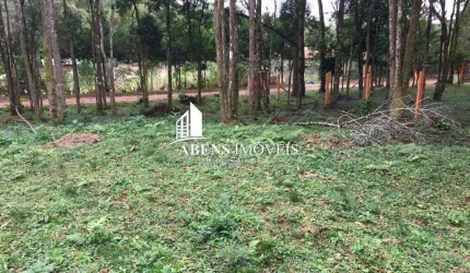 Terreno para Venda em Piraquara, Colônia Santa Maria, 10 vagas