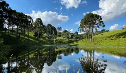 Fazenda à venda na Campo Alto, 5, Campo Alto, Tijucas do Sul, 3000 m2 por R$ 19.999.900