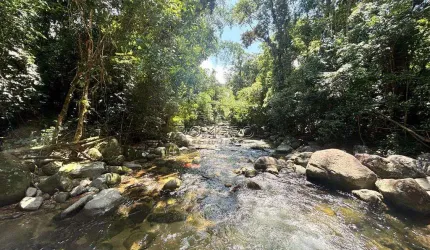 Chácara com 6 quartos, Corcovado, Ubatuba - R$ 1.35 mi, Cod: 2564
