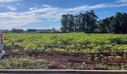 Terreno à venda, 360 m² por R$ 251.356,50 - Guarujá - Cascavel/PR