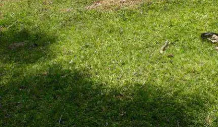 Chácara à venda, 4630 m² por R$ 179.000,00 - Zona Rural - Quitandinha/PR