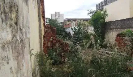 Terreno a venda Centro - Vila Seixas Ribeirao Preto