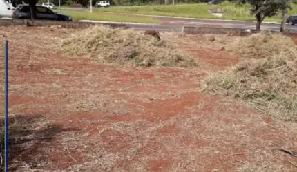 Terreno com 552,37m2 total - Jardim Botanico