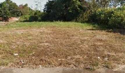 Terreno comercial/industrial  a venda Vila Elisa - Ribeirao Preto